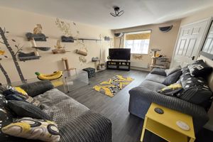 Lounge- click for photo gallery